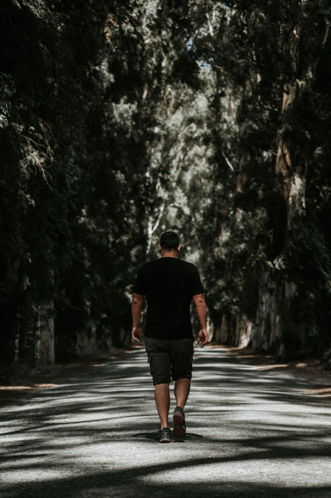 A man walking alone down a quiet, tree-lined road
